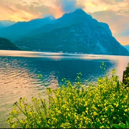 Perfect Point Apartment *