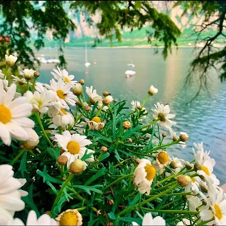 Apartment Perfect Point *